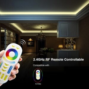 Telecomando per Controller LED RGB+CCT wifi 180131